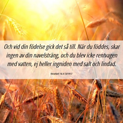 Picture 06 - Hesekiel 16:4 SV1917 - Och vid din födelse gick det så till. När du - Bible Verse Picture