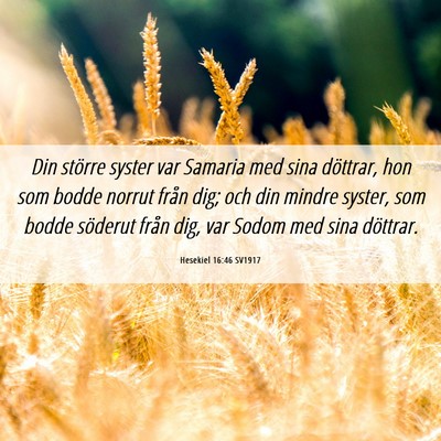 Picture 06 - Hesekiel 16:46 SV1917 - Din större syster var Samaria med sina döttrar, - Bible Verse Picture