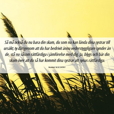 Picture 06 - Hesekiel 16:52 SV1917 - Så må också du nu bara din skam, du som nu kan - Bible Verse Picture