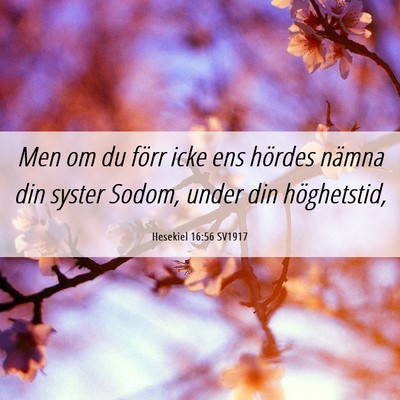 Picture 06 - Hesekiel 16:56 SV1917 - Men om du förr icke ens hördes nämna din - Bible Verse Picture