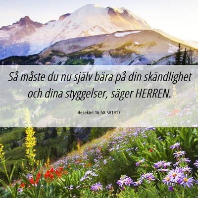 Picture 06 - Hesekiel 16:58 SV1917 - Så måste du nu själv bära på din - Bible Verse Picture