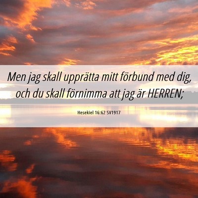Picture 06 - Hesekiel 16:62 SV1917 - Men jag skall upprätta mitt förbund med dig, - Bible Verse Picture