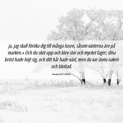 Picture 06 - Hesekiel 16:7 SV1917 - ja, jag skall föröka dig till många tusen, - Bible Verse Picture