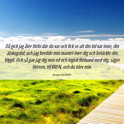 Picture 06 - Hesekiel 16:8 SV1917 - Då gick jag åter förbi där du var och fick se - Bible Verse Picture