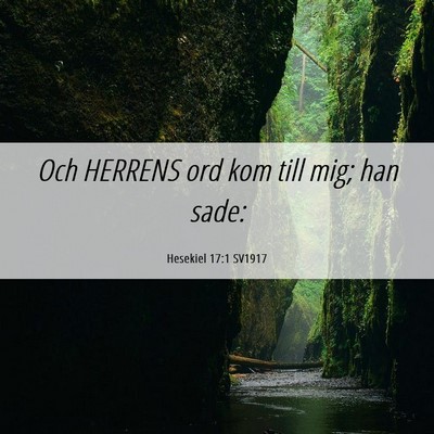 Picture 06 - Hesekiel 17:1 SV1917 - Och HERRENS ord kom till mig; han - Bible Verse Picture