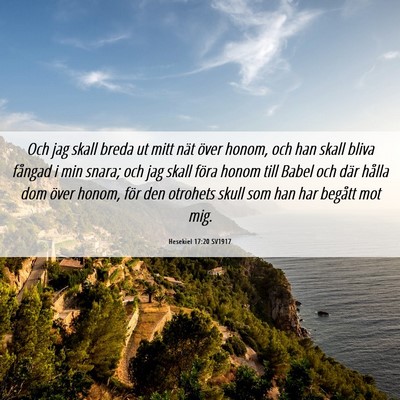 Picture 06 - Hesekiel 17:20 SV1917 - Och jag skall breda ut mitt nät över honom, och - Bible Verse Picture