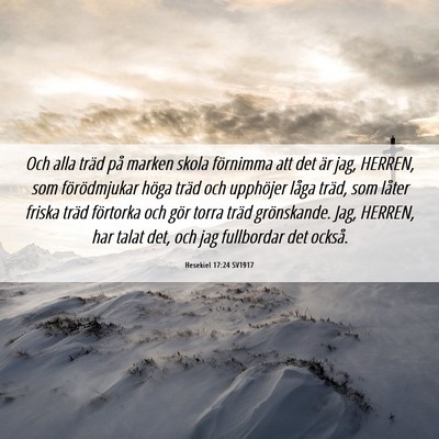 Picture 06 - Hesekiel 17:24 SV1917 - Och alla träd på marken skola förnimma att det - Bible Verse Picture