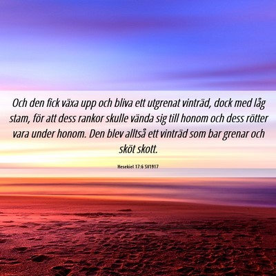Picture 06 - Hesekiel 17:6 SV1917 - Och den fick växa upp och bliva ett utgrenat - Bible Verse Picture