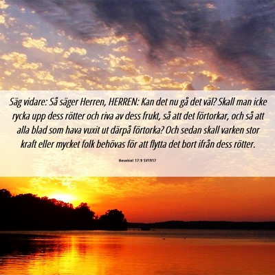 Picture 06 - Hesekiel 17:9 SV1917 - Säg vidare: Så säger Herren, HERREN: Kan det - Bible Verse Picture