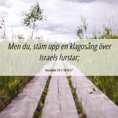 Picture 06 - Hesekiel 19:1 SV1917 - Men du, stäm upp en klagosång över Israels - Bible Verse Picture