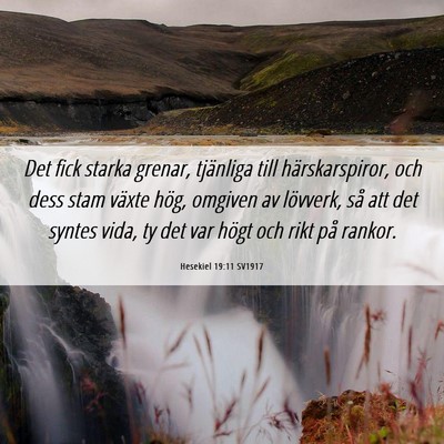 Picture 06 - Hesekiel 19:11 SV1917 - Det fick starka grenar, tjänliga till - Bible Verse Picture