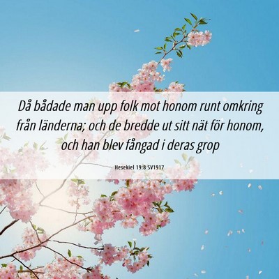 Picture 06 - Hesekiel 19:8 SV1917 - Då bådade man upp folk mot honom runt omkring - Bible Verse Picture