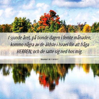 Picture 06 - Hesekiel 20:1 SV1917 - I sjunde året, på tionde dagen i femte - Bible Verse Picture