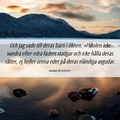 Picture 06 - Hesekiel 20:18 SV1917 - Och jag sade till deras barn i öknen: »I skolen - Bible Verse Picture