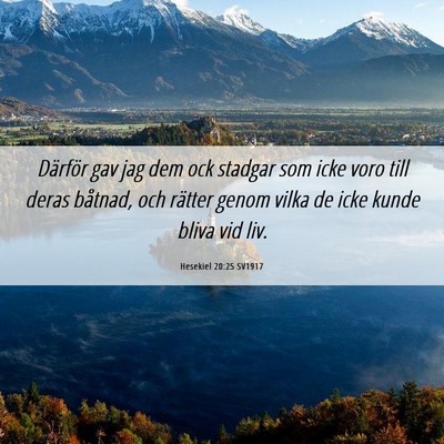 Picture 06 - Hesekiel 20:25 SV1917 - Därför gav jag dem ock stadgar som icke voro - Bible Verse Picture
