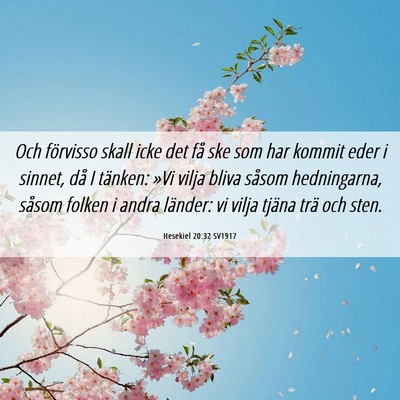 Picture 06 - Hesekiel 20:32 SV1917 - Och förvisso skall icke det få ske som har - Bible Verse Picture