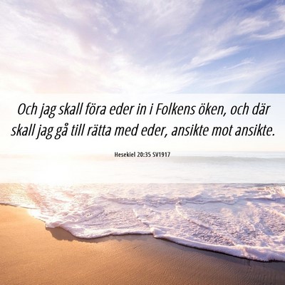 Picture 06 - Hesekiel 20:35 SV1917 - Och jag skall föra eder in i Folkens öken, och - Bible Verse Picture