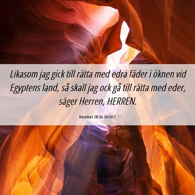 Picture 06 - Hesekiel 20:36 SV1917 - Likasom jag gick till rätta med edra fäder i - Bible Verse Picture