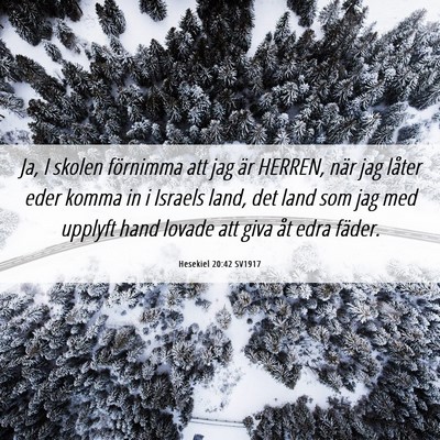 Picture 06 - Hesekiel 20:42 SV1917 - Ja, I skolen förnimma att jag är HERREN, när - Bible Verse Picture