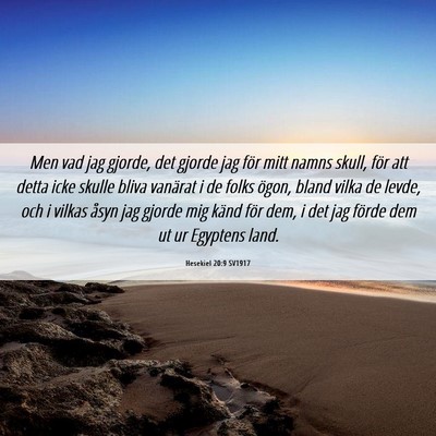 Picture 06 - Hesekiel 20:9 SV1917 - Men vad jag gjorde, det gjorde jag för mitt - Bible Verse Picture