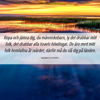 Picture 06 - Hesekiel 21:12 SV1917 - Ropa och jämra dig, du människobarn, ty det - Bible Verse Picture