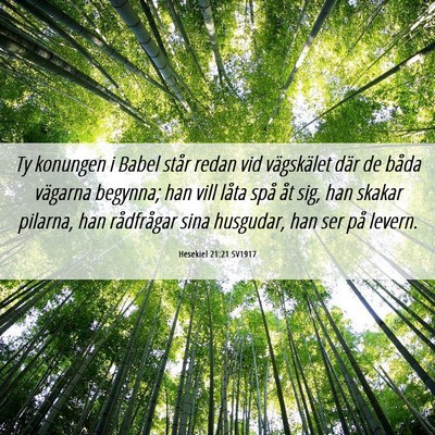 Picture 06 - Hesekiel 21:21 SV1917 - Ty konungen i Babel står redan vid vägskälet - Bible Verse Picture