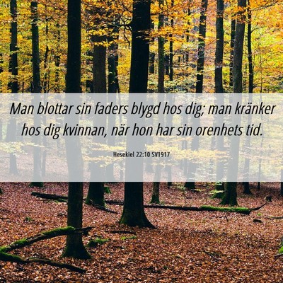 Picture 06 - Hesekiel 22:10 SV1917 - Man blottar sin faders blygd hos dig; man - Bible Verse Picture