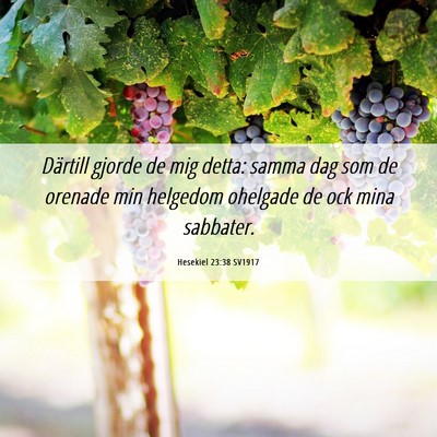 Picture 06 - Hesekiel 23:38 SV1917 - Därtill gjorde de mig detta: samma dag som de - Bible Verse Picture