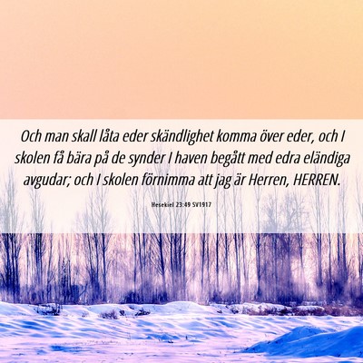 Picture 06 - Hesekiel 23:49 SV1917 - Och man skall låta eder skändlighet komma över - Bible Verse Picture