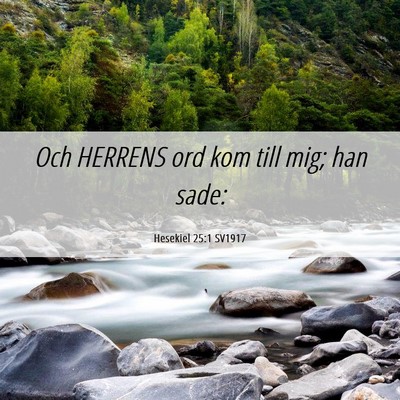 Picture 06 - Hesekiel 25:1 SV1917 - Och HERRENS ord kom till mig; han - Bible Verse Picture