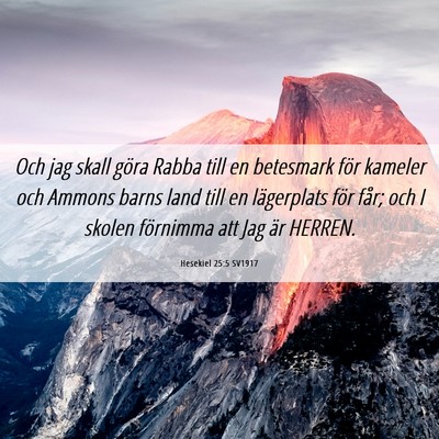 Picture 06 - Hesekiel 25:5 SV1917 - Och jag skall göra Rabba till en betesmark för - Bible Verse Picture