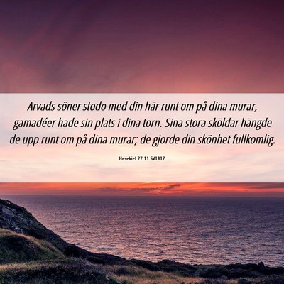 Picture 06 - Hesekiel 27:11 SV1917 - Arvads söner stodo med din här runt om på dina - Bible Verse Picture
