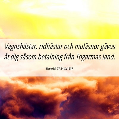 Picture 06 - Hesekiel 27:14 SV1917 - Vagnshästar, ridhästar och mulåsnor gåvos åt - Bible Verse Picture