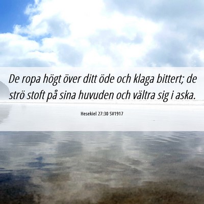Picture 06 - Hesekiel 27:30 SV1917 - De ropa högt över ditt öde och klaga bittert; - Bible Verse Picture