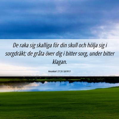 Picture 06 - Hesekiel 27:31 SV1917 - De raka sig skalliga för din skull och hölja - Bible Verse Picture