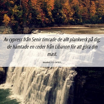 Picture 06 - Hesekiel 27:5 SV1917 - Av cypress från Senir timrade de allt plankverk - Bible Verse Picture