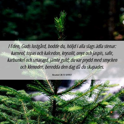 Picture 06 - Hesekiel 28:13 SV1917 - I Eden, Guds lustgård, bodde du, höljd i alla - Bible Verse Picture