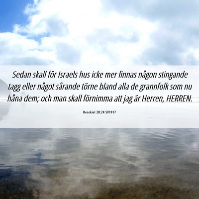 Picture 06 - Hesekiel 28:24 SV1917 - Sedan skall för Israels hus icke mer finnas - Bible Verse Picture