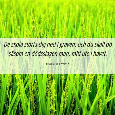 Picture 06 - Hesekiel 28:8 SV1917 - De skola störta dig ned i graven, och du skall - Bible Verse Picture