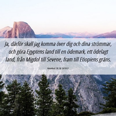 Picture 06 - Hesekiel 29:10 SV1917 - Ja, därför skall jag komma över dig och dina - Bible Verse Picture