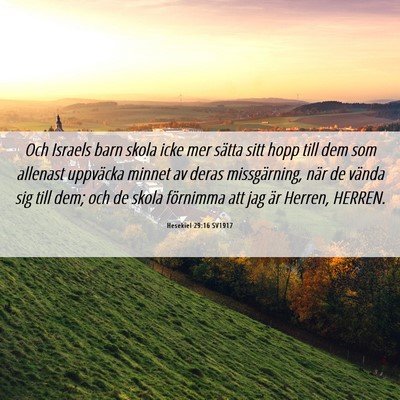 Picture 06 - Hesekiel 29:16 SV1917 - Och Israels barn skola icke mer sätta sitt hopp - Bible Verse Picture