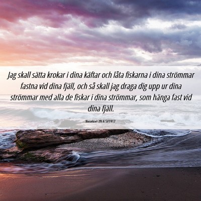 Picture 06 - Hesekiel 29:4 SV1917 - Jag skall sätta krokar i dina käftar och låta - Bible Verse Picture