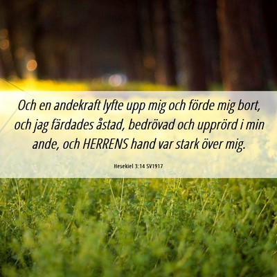 Picture 06 - Hesekiel 3:14 SV1917 - Och en andekraft lyfte upp mig och förde mig - Bible Verse Picture