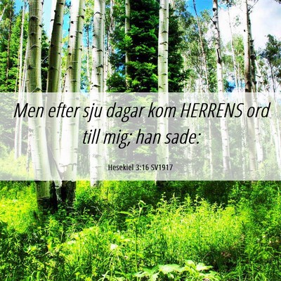 Picture 06 - Hesekiel 3:16 SV1917 - Men efter sju dagar kom HERRENS ord till mig; han - Bible Verse Picture