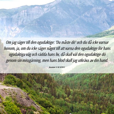 Picture 06 - Hesekiel 3:18 SV1917 - Om jag säger till den ogudaktige: 'Du måste - Bible Verse Picture