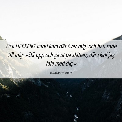 Picture 06 - Hesekiel 3:22 SV1917 - Och HERRENS hand kom där över mig, och han sade - Bible Verse Picture
