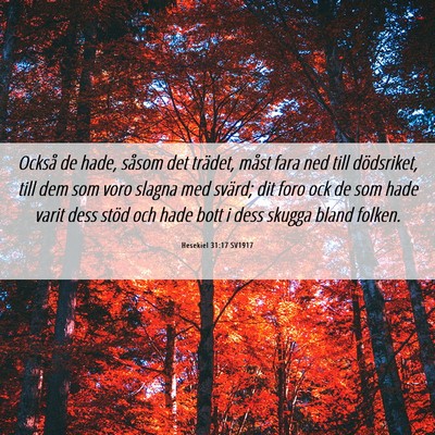 Picture 06 - Hesekiel 31:17 SV1917 - Också de hade, såsom det trädet, måst fara - Bible Verse Picture