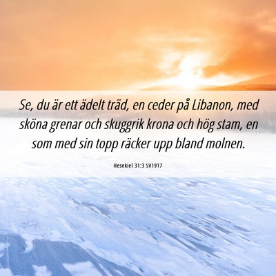 Picture 06 - Hesekiel 31:3 SV1917 - Se, du är ett ädelt träd, en ceder på - Bible Verse Picture