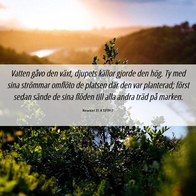Picture 06 - Hesekiel 31:4 SV1917 - Vatten gåvo den växt, djupets källor gjorde - Bible Verse Picture