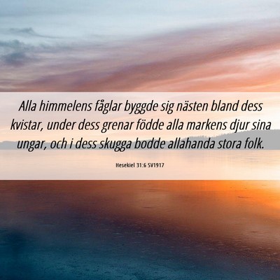 Picture 06 - Hesekiel 31:6 SV1917 - Alla himmelens fåglar byggde sig nästen bland - Bible Verse Picture